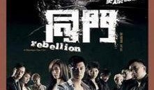 同门国语在线观看,穿越时空的国学盛宴